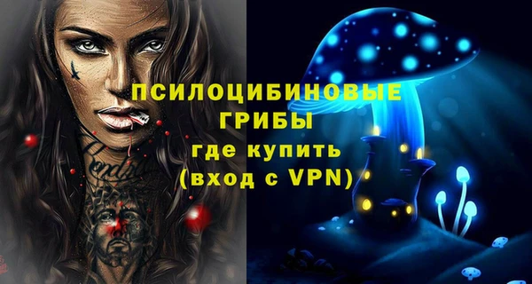 ECSTASY Абаза