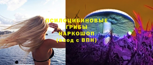 а пвп мука Гусь-Хрустальный
